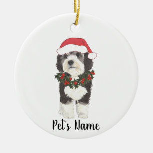 Personlig Bernedoodle Ceramic Ornament