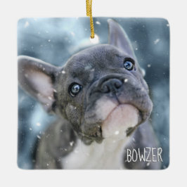 Personlig Best Hund eller Puppy Bild Namn Photo Julgransprydnad Keramik
