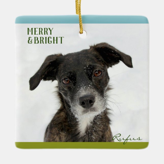 Personlig Best Hund eller Puppy Photo Bild Namn Julgransprydnad Keramik (Framsida)