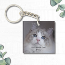 Personlig Best Ragdoll Cat Pet Photo