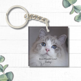 Personlig Best Ragdoll Cat Pet Photo