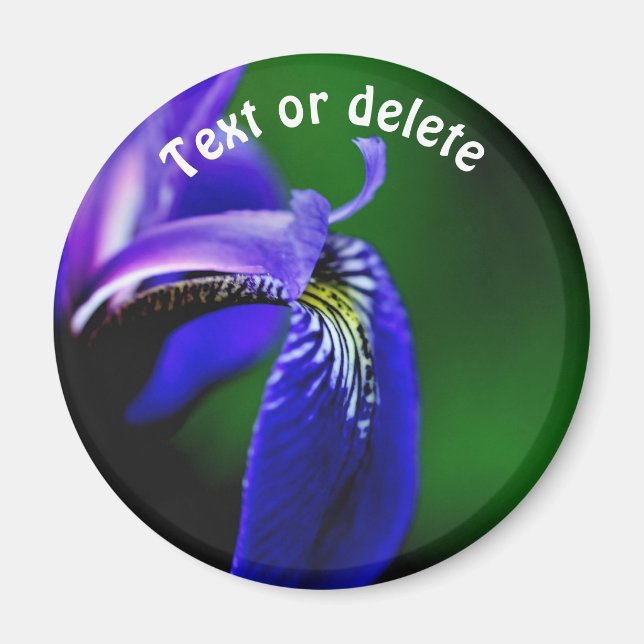 Personlig blå flagga irisblomma magnet (Framsidan)