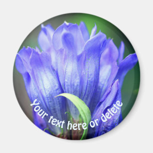 Personlig blå gentianablomma magnet
