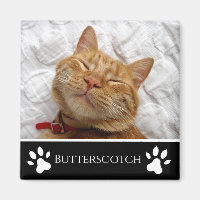 Personlig Black Add-a-Cat Photo Magnet