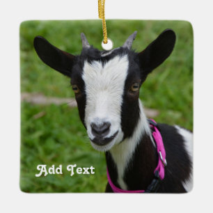 Personlig Black and White Dwarf Goat Julgransprydnad Keramik