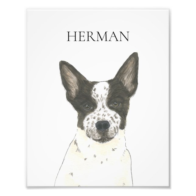 Personlig Black and White Heeler Cattledog Fototryck (Framsidan)