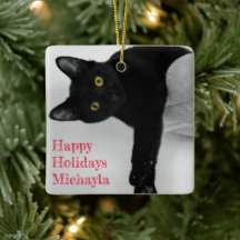 Personlig Black Cat Owner jul