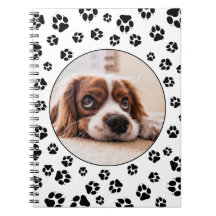 Personlig Black Hund Tassavtryck Puppy Photo
