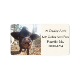 Personlig Black Mini Gris Adressetiketter