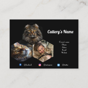Personlig Black Photo Collage Cattery Visitkort
