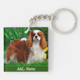 Personlig Blenheim Cavalier Kung Charles
