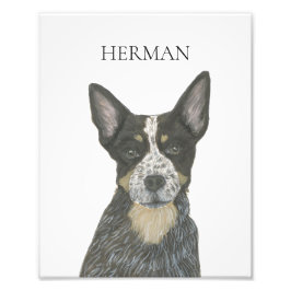 Personlig Blue Heeler Cattledog Fototryck