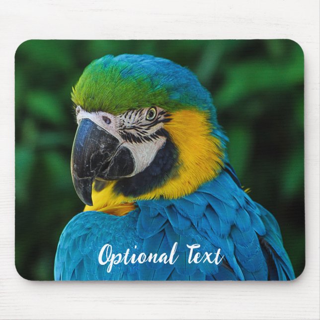 Personlig Blue och Gult Macaw Parrot Musmatta (Framsidan)
