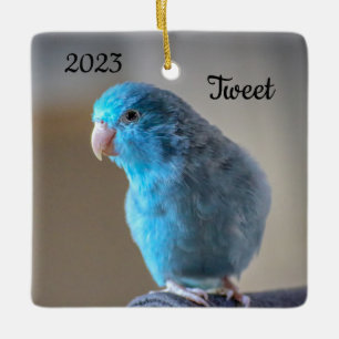 Personlig Blue Parrotlet Bird Julgransprydnad Keramik