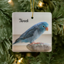 Personlig Blue Parrotlet Bird Julgransprydnad Keramik