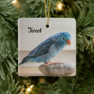 Personlig Blue Parrotlet Bird Julgransprydnad Keramik