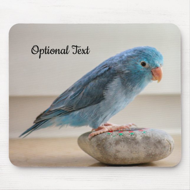 Personlig Blue Parrotlet Bird Musmatta (Framsidan)