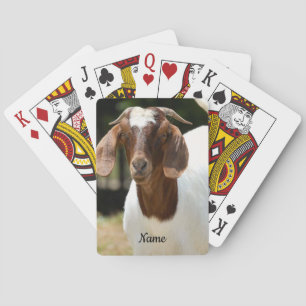 Personlig Boer Goat Farm Casinokort