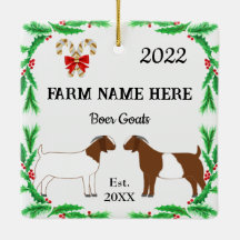 Personlig Boer Goat Farm jul #2