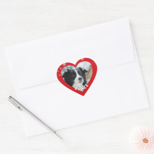 Personlig Border Collie Jul Hund Djur Foto Hjärtformat Klistermärke