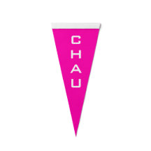 Personlig Bowling Champion 4-Brev efternamn