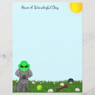 Personlig Brooklyn Da Weimaraners speldag