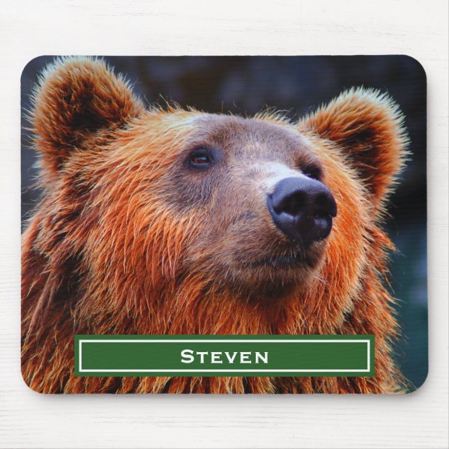 Personlig Brown Bear Porträtt Wildlife Photo Musmatta (Framsidan)
