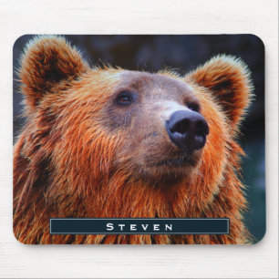 Personlig Brown Bear Porträtt Wildlife Photo Musmatta