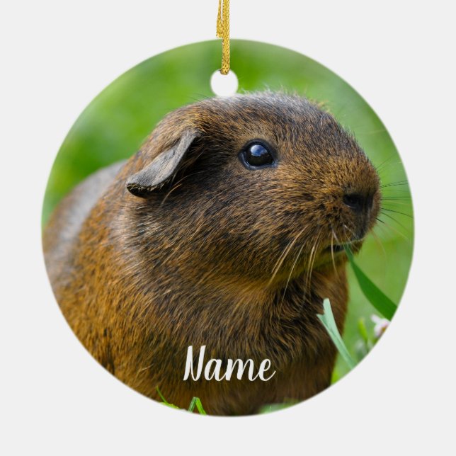 Personlig Brown Guinea Gris Julgransprydnad Keramik (Baksidan)