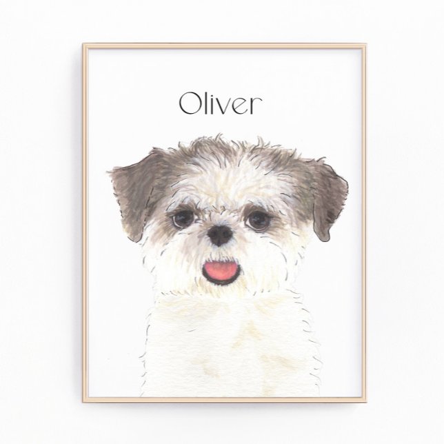 Personlig Brown och White Shih Tzu Art Fototryck (Skapare uppladdad)