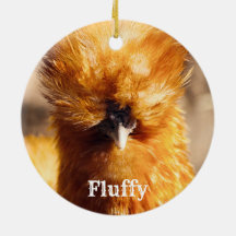 Personlig Brown Silkie Pet Chicken Hen