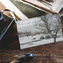 Personlig Buffalo Bilder Winter Storm Vykort