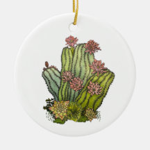 Personlig Cactus & Succulent Ornament