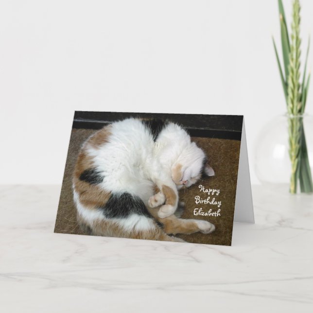 Personlig Calico cat botade i sömn Birthday Kort (Framsida)