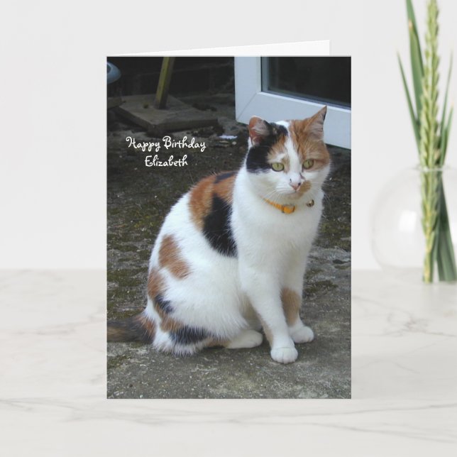 Personlig Calico cat sitta utanför födelsedagen Kort (Framsida)