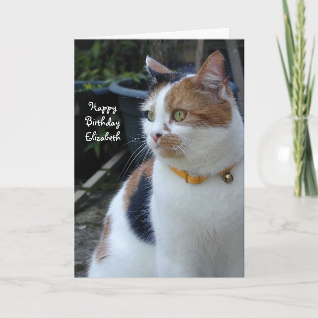 Personlig Calicos söta katt födelsedag Kort (Framsida)