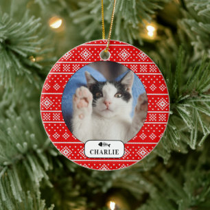 Personlig Cat Fish Red Snowflake Pet Photo Julgransprydnad Keramik