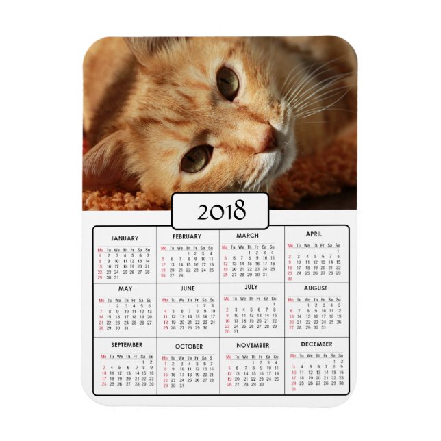 Personlig Cat Photo 2018 Calendar Magnet (Vertikal)