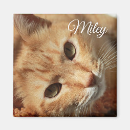 Personlig Cat Photo och Namn Magnet