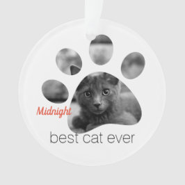 Personlig Cat Photo Pawprint