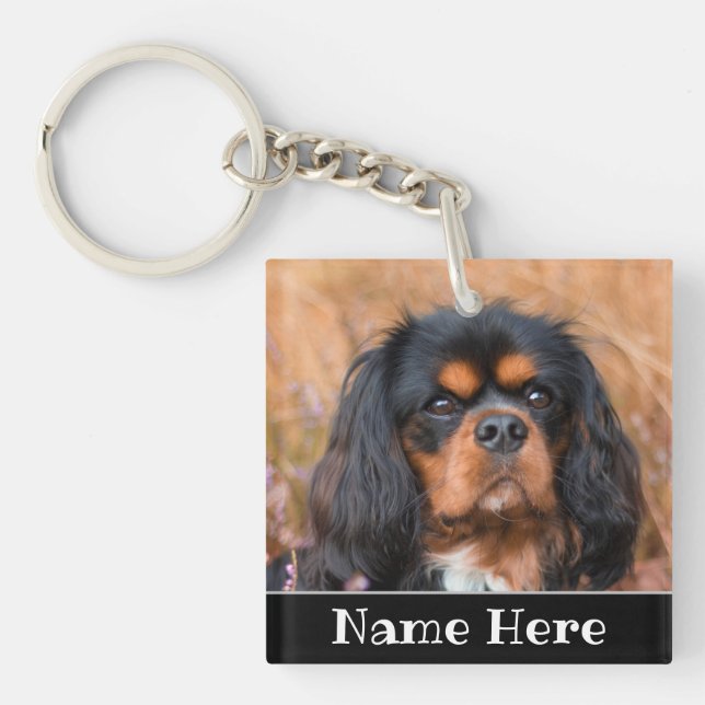 Personlig Cavalier Kung Charles Spain Hund (Framsidan)