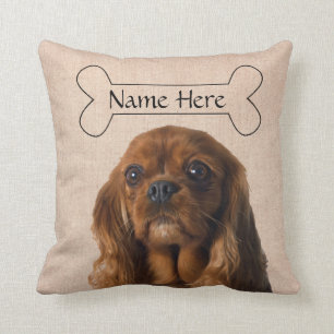 Personlig Cavalier Kung Charles Spain Hund Kudde