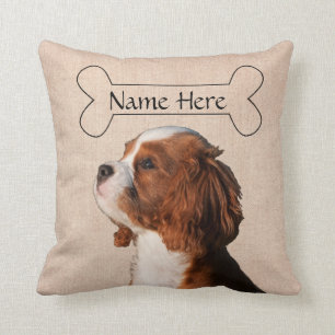 Personlig Cavalier Kung Charles Spain Hund Kudde