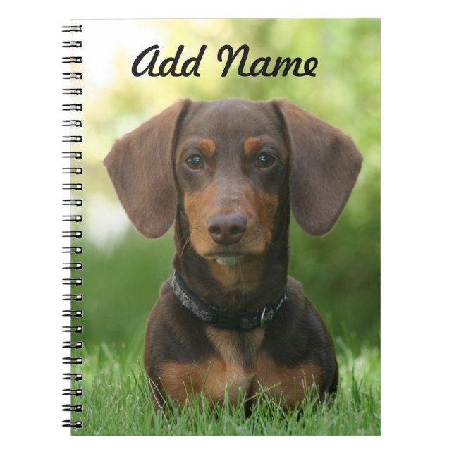 Personlig Chocolate and Tan Dachshund - Doxie Anteckningsbok (Framsidan)
