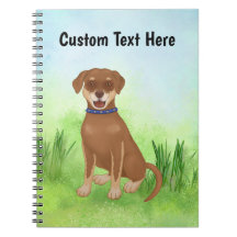 Personlig Chocolate Lab-blandning