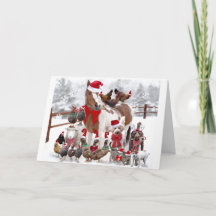 PERSONLIG CHRISTMAS BOSKAP Greeting Card