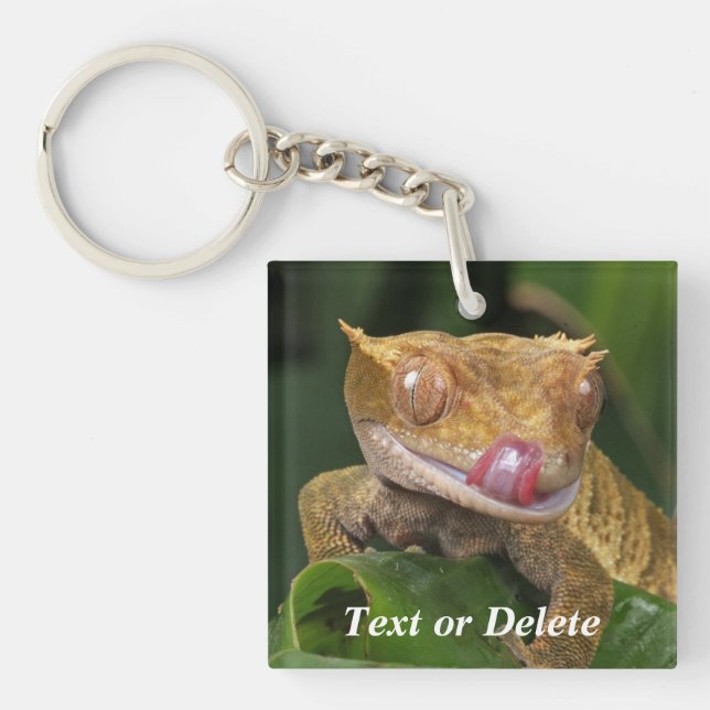 Personlig Crest Gecko (Framsidan)