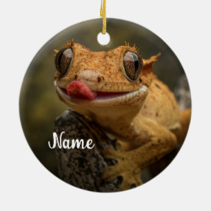Personlig Crested Gecko Lizard Julgransprydnad Keramik