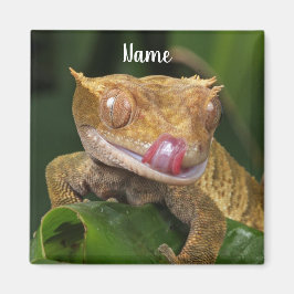 Personlig Crested Gecko Lizard Magnet