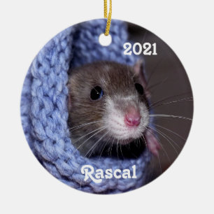 Personlig Cute Baby Pet Råtta Julgransprydnad Keramik